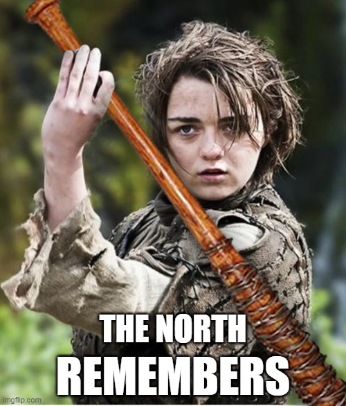 The North Remembers | THE NORTH; REMEMBERS | image tagged in the north remembers,twduniverse,got,arya stark,lucille,negan and lucille | made w/ Imgflip meme maker