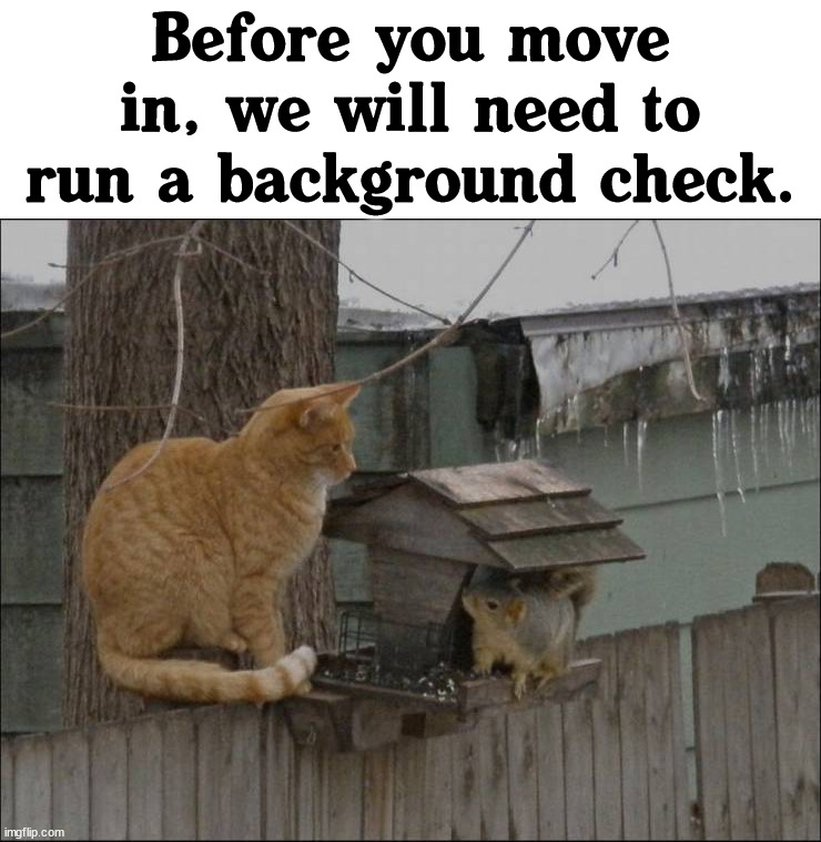 Moving on | Before you move in, we will need to run a background check. | image tagged in moving,home,memes | made w/ Imgflip meme maker