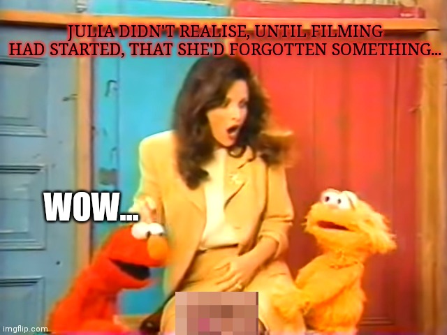 Lost sesame street episode | JULIA DIDN'T REALISE, UNTIL FILMING HAD STARTED, THAT SHE'D FORGOTTEN SOMETHING... WOW... | image tagged in sesame street,julia louis dreyfus,unneeded censorship,but why why would you do that,where are my pants | made w/ Imgflip meme maker