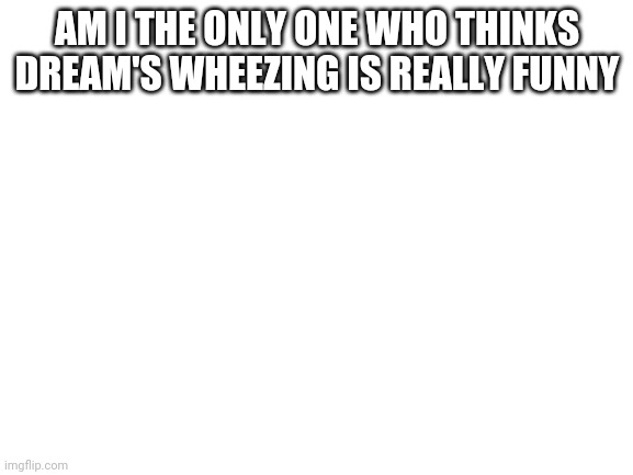 am i the only one | AM I THE ONLY ONE WHO THINKS DREAM'S WHEEZING IS REALLY FUNNY | image tagged in blank white template,dream | made w/ Imgflip meme maker