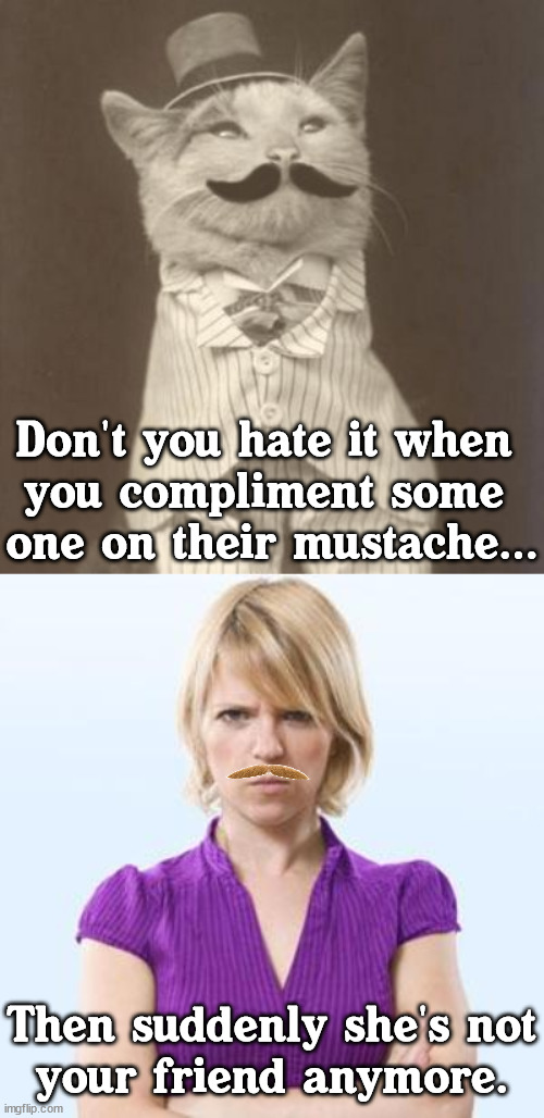 Better yet, give her mustache wax. | Don't you hate it when 
you compliment some 
one on their mustache... Then suddenly she's not
your friend anymore. | image tagged in moustache cat posh,angry woman,i have failed you | made w/ Imgflip meme maker