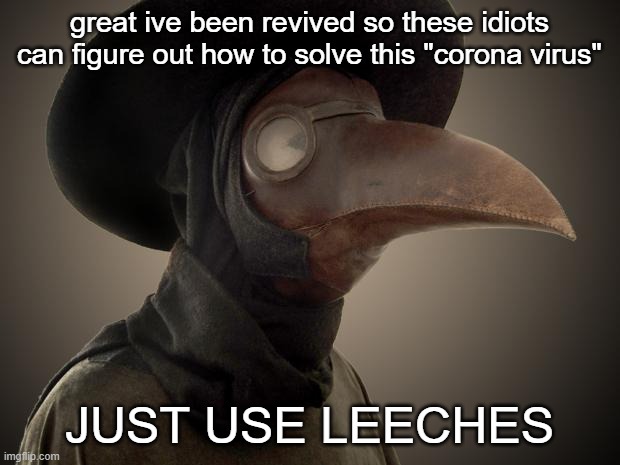 use leeches | great ive been revived so these idiots can figure out how to solve this "corona virus"; JUST USE LEECHES | image tagged in plague doctor | made w/ Imgflip meme maker
