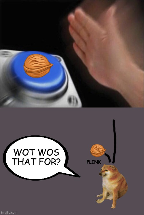 blank NUT button | WOT WOS THAT FOR? PLINK | image tagged in memes,blank nut button | made w/ Imgflip meme maker