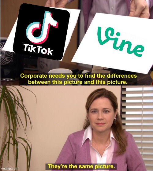 They're The Same Picture Meme | image tagged in memes,they're the same picture,tik tok,vine,tiktok logo | made w/ Imgflip meme maker
