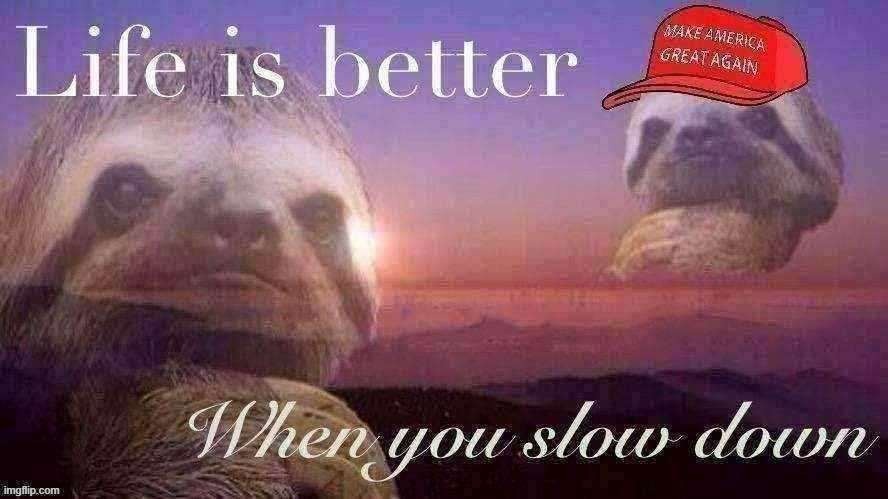 New SN. No matter your politics, take time to appreciate the people around you, and enjoy life :) | image tagged in maga sloth life is better when you slow down,wholesome,advice,good advice,imgflipper,imgflip user | made w/ Imgflip meme maker