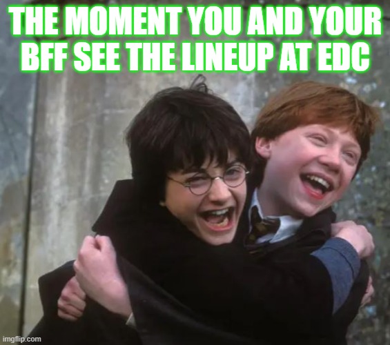 EDC Lineup | THE MOMENT YOU AND YOUR
BFF SEE THE LINEUP AT EDC | image tagged in music festival,harry potter,edc | made w/ Imgflip meme maker