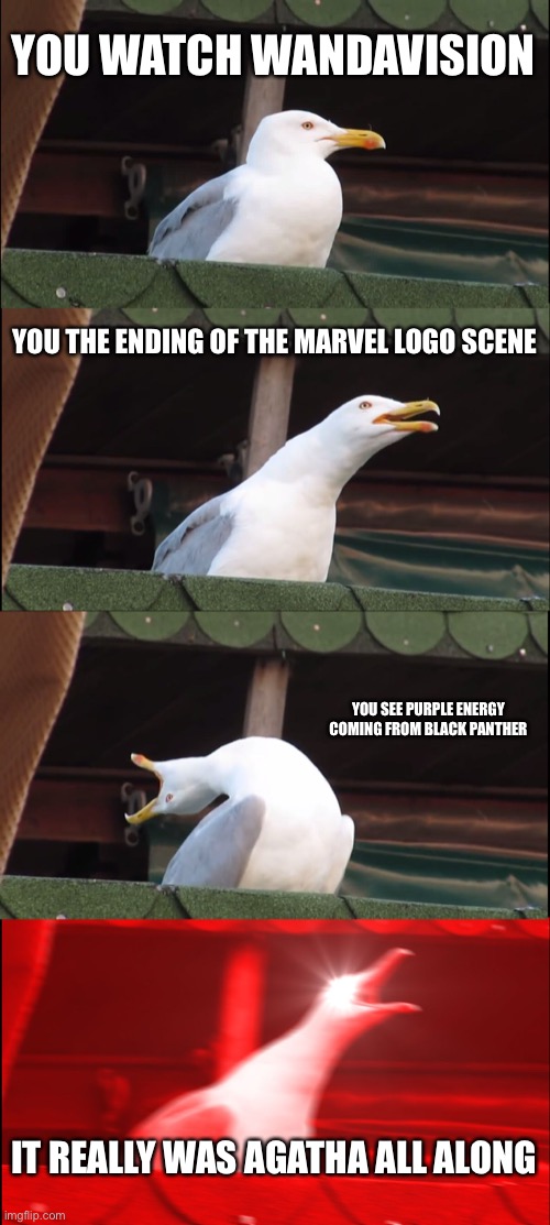 Episode 7-9 spoilers | YOU WATCH WANDAVISION; YOU THE ENDING OF THE MARVEL LOGO SCENE; YOU SEE PURPLE ENERGY COMING FROM BLACK PANTHER; IT REALLY WAS AGATHA ALL ALONG | image tagged in memes,inhaling seagull | made w/ Imgflip meme maker