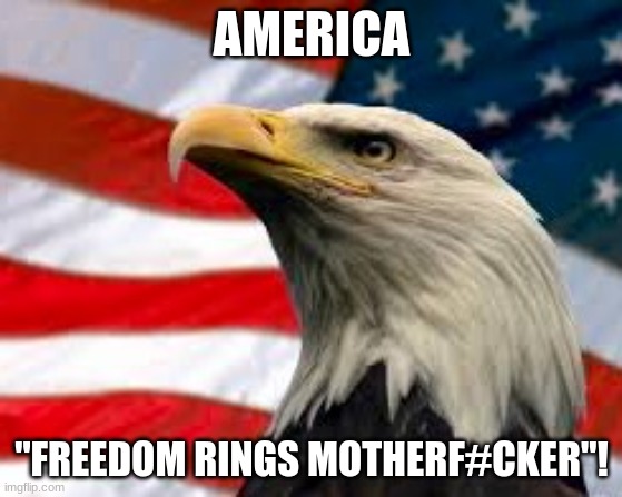 Freedom rings! | AMERICA; "FREEDOM RINGS MOTHERF#CKER"! | image tagged in murica patriotic eagle,america,freedom | made w/ Imgflip meme maker