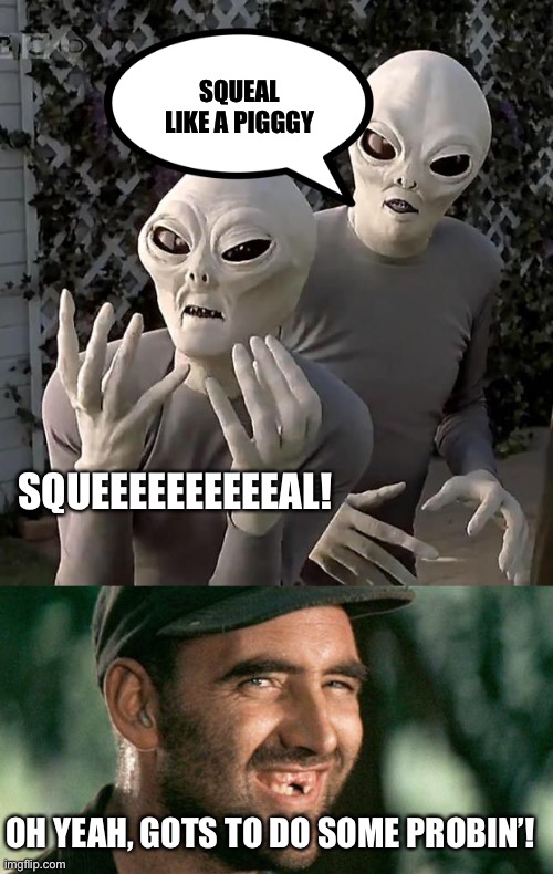 Alien Squeal... | SQUEAL LIKE A PIGGGY; SQUEEEEEEEEEEAL! OH YEAH, GOTS TO DO SOME PROBIN’! | image tagged in aliens,deliverance hillbilly | made w/ Imgflip meme maker