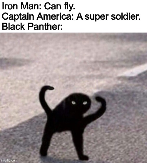 Hi | Iron Man: Can fly.
Captain America: A super soldier.
Black Panther: | image tagged in superheroes,black panther,iron man,captain america | made w/ Imgflip meme maker