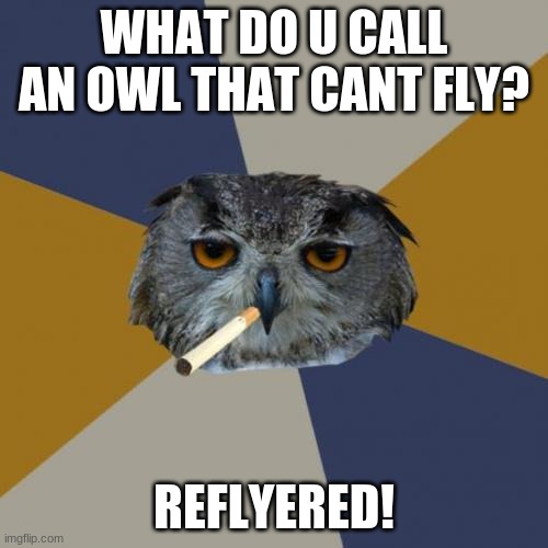 back and runninn | WHAT DO U CALL AN OWL THAT CANT FLY? REFLYERED! | image tagged in memes,art student owl | made w/ Imgflip meme maker