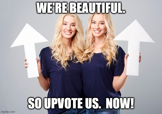 How To Properly Beg For Upvotes. | WE'RE BEAUTIFUL. SO UPVOTE US.  NOW! | image tagged in upvote begging,upvote if you agree,fishing for upvotes,sexy twins,blonde,bimbos | made w/ Imgflip meme maker