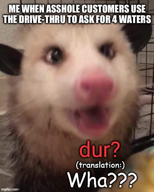 Dur? (translation:) WHA??? | (translation:); Wha??? | image tagged in funny animals,possum,coffee,coffee addict,barista,starbucks barista | made w/ Imgflip meme maker