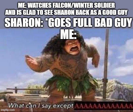 What can i say except aaaaaaaaaaa | ME: WATCHES FALCON/WINTER SOLDIER AND IS GLAD TO SEE SHARON BACK AS A GOOD GUY; SHARON: *GOES FULL BAD GUY; ME: | image tagged in what can i say except aaaaaaaaaaa | made w/ Imgflip meme maker