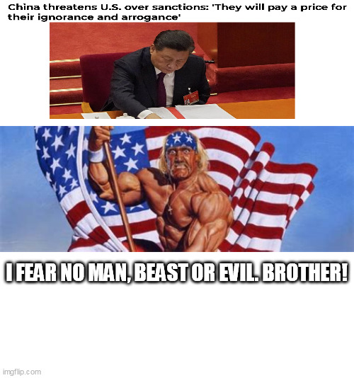 No fear!!! | I FEAR NO MAN, BEAST OR EVIL. BROTHER! | image tagged in patriotic hulk hogan,china | made w/ Imgflip meme maker