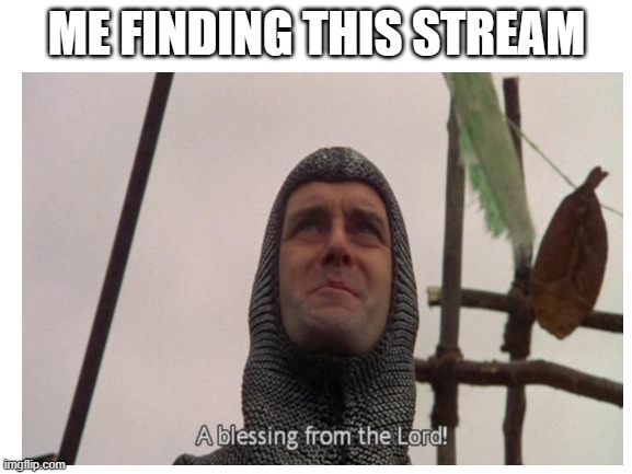 a blessing | ME FINDING THIS STREAM | image tagged in a blessing from the lord,monty python and the holy grail | made w/ Imgflip meme maker