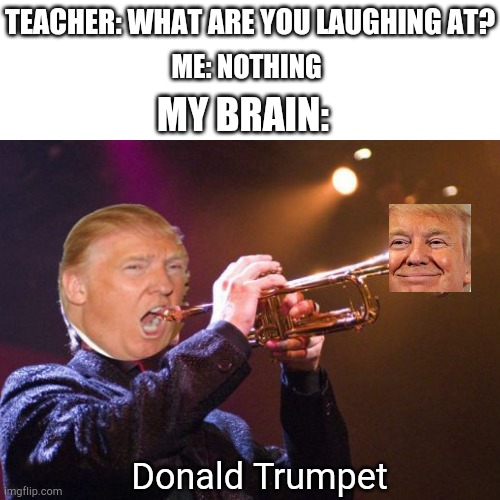 The guy who plays trumpet | TEACHER: WHAT ARE YOU LAUGHING AT? ME: NOTHING; MY BRAIN:; Donald Trumpet | image tagged in funny,memes,donald trump,blank white template | made w/ Imgflip meme maker