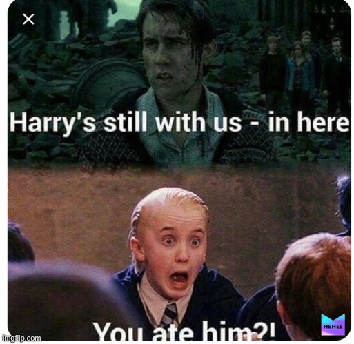 Harry is still with us in here | image tagged in harry potter | made w/ Imgflip meme maker