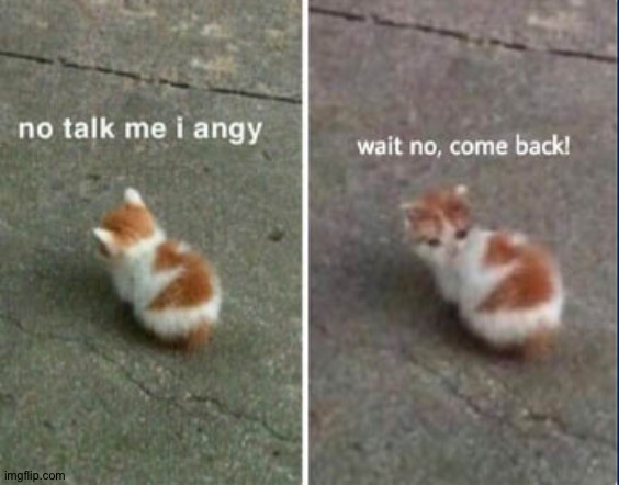 New temp | image tagged in no talk me i angy wait no come back | made w/ Imgflip meme maker