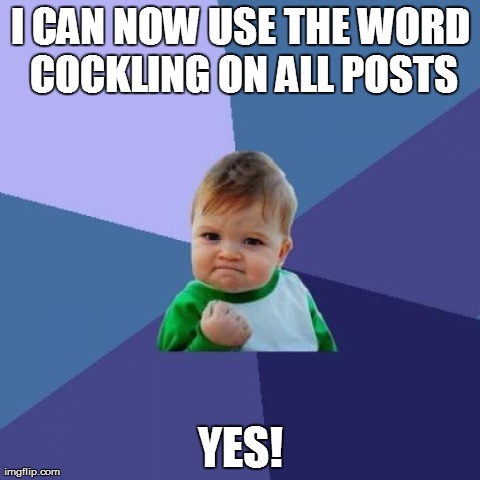 Success Kid Meme | I CAN NOW USE THE WORD COCKLING ON ALL POSTS YES! | image tagged in memes,success kid | made w/ Imgflip meme maker