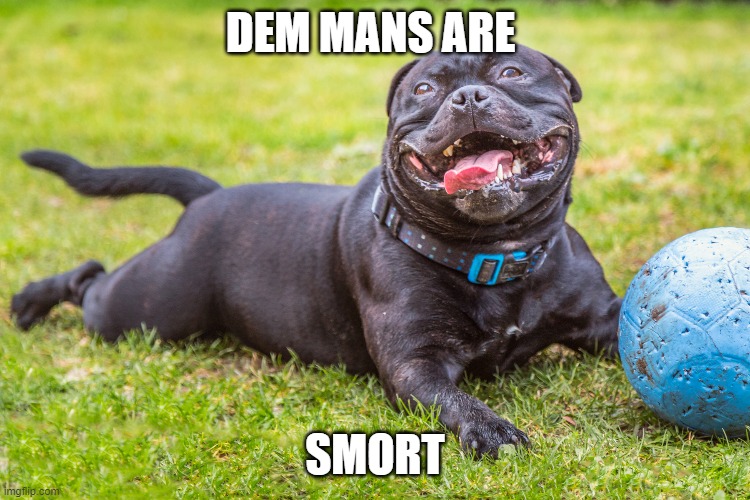 DEM MANS ARE; SMORT | made w/ Imgflip meme maker