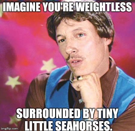 IMAGINE YOU'RE WEIGHTLESS SURROUNDED BY TINY LITTLE SEAHORSES. | made w/ Imgflip meme maker
