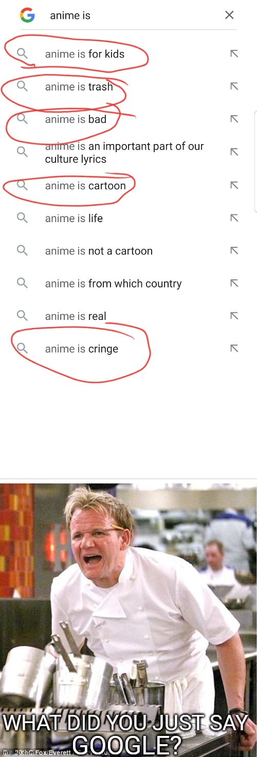 GOOGLE HATS ANIME | GOOGLE? WHAT DID YOU JUST SAY | image tagged in memes,chef gordon ramsay | made w/ Imgflip meme maker