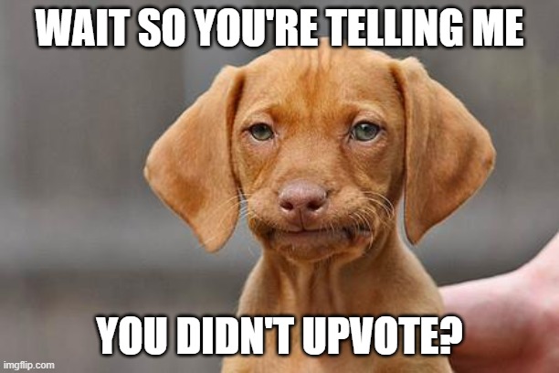 Don't be like that | WAIT SO YOU'RE TELLING ME; YOU DIDN'T UPVOTE? | image tagged in dissapointed puppy,sad,imgflip,memes | made w/ Imgflip meme maker