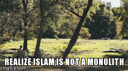 REALIZE ISLAM IS NOT A MONOLITH | image tagged in gifs | made w/ Imgflip video-to-gif maker