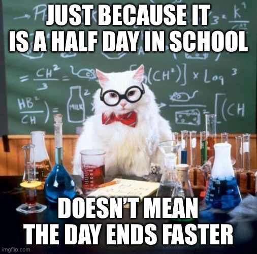 Chemistry Cat | JUST BECAUSE IT IS A HALF DAY IN SCHOOL; DOESN’T MEAN THE DAY ENDS FASTER | image tagged in memes,chemistry cat | made w/ Imgflip meme maker