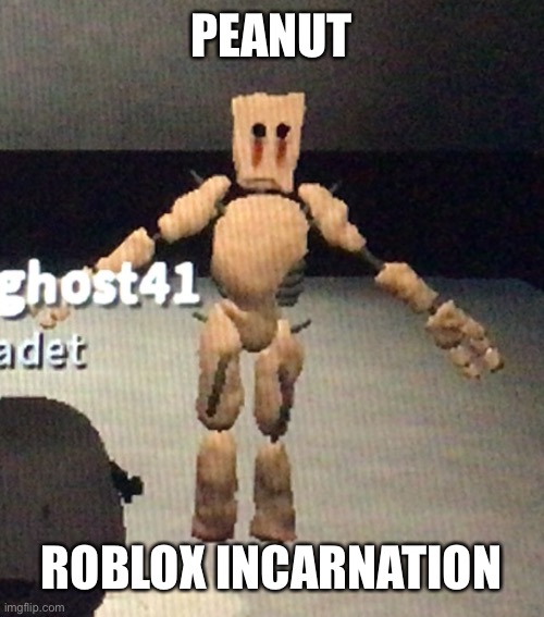 All hail the peanut | PEANUT; ROBLOX INCARNATION | image tagged in peanut t pose | made w/ Imgflip meme maker