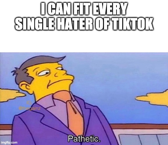 I CAN FIT EVERY SINGLE HATER OF TIKTOK | image tagged in pathetic | made w/ Imgflip meme maker