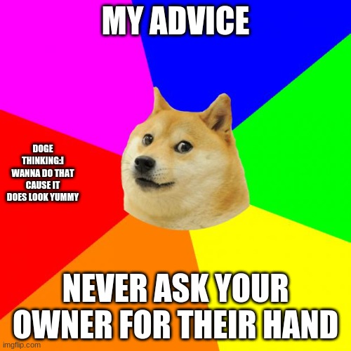 Advice Doge | MY ADVICE; DOGE THINKING:I WANNA DO THAT CAUSE IT DOES LOOK YUMMY; NEVER ASK YOUR OWNER FOR THEIR HAND | image tagged in memes,advice doge | made w/ Imgflip meme maker