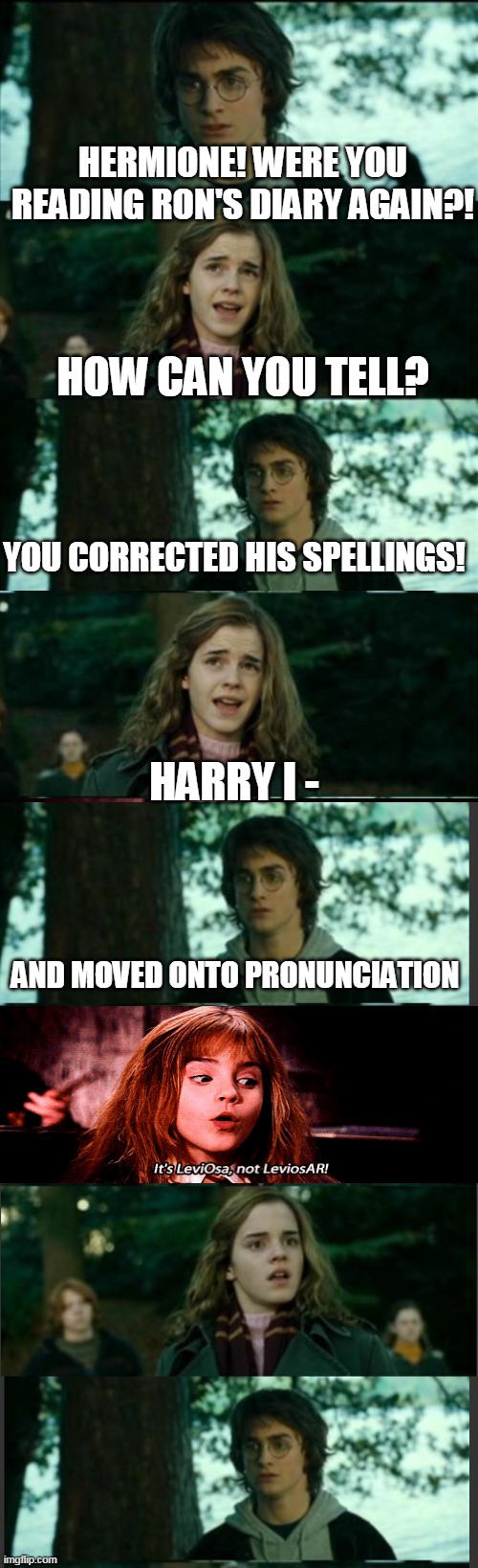 HERMIONE! WERE YOU READING RON'S DIARY AGAIN?! HOW CAN YOU TELL? YOU CORRECTED HIS SPELLINGS! HARRY I -; AND MOVED ONTO PRONUNCIATION | image tagged in memes,horny harry | made w/ Imgflip meme maker