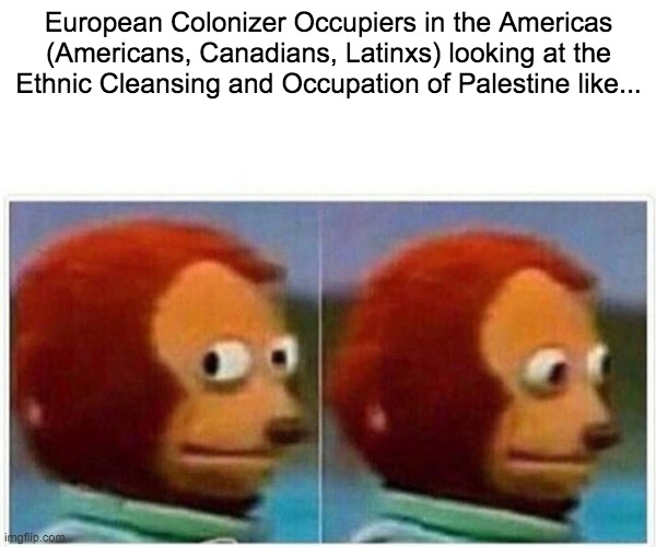 Monkey Puppet Meme | European Colonizer Occupiers in the Americas (Americans, Canadians, Latinxs) looking at the Ethnic Cleansing and Occupation of Palestine like... | image tagged in memes,monkey puppet | made w/ Imgflip meme maker