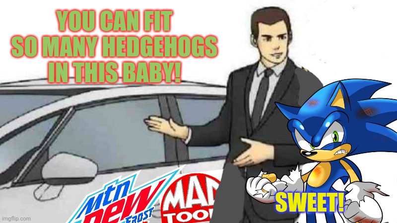 Sonic needs a new car! | YOU CAN FIT SO MANY HEDGEHOGS IN THIS BABY! SWEET! | image tagged in nascar,sonic the hedgehog,gotta go fast,car salesman slaps hood,nmcs | made w/ Imgflip meme maker