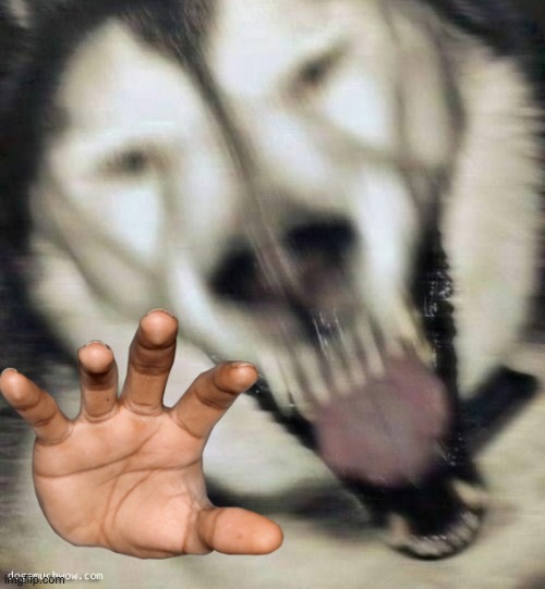 Nightmare fuel dog god thing | image tagged in s c a r y b o i | made w/ Imgflip meme maker