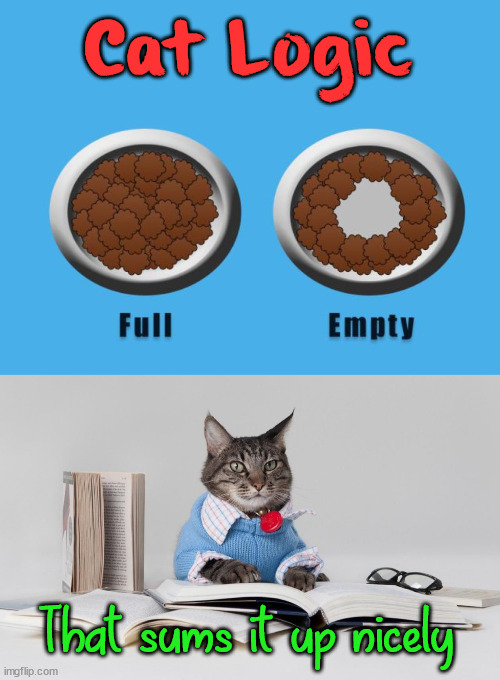 Cat Logic; That sums it up nicely | image tagged in smart cat,cats | made w/ Imgflip meme maker