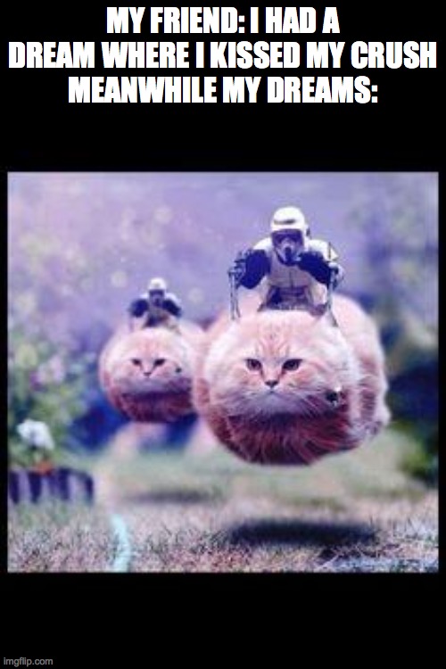 flying cat stormtrooper | MY FRIEND: I HAD A DREAM WHERE I KISSED MY CRUSH
MEANWHILE MY DREAMS: | image tagged in flying cat stormtrooper,friends,stormtrooper,cats,cat,dreams | made w/ Imgflip meme maker