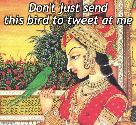 It's not the same | Don't just send this bird to tweet at me | image tagged in twitter,ancient,communication | made w/ Imgflip meme maker