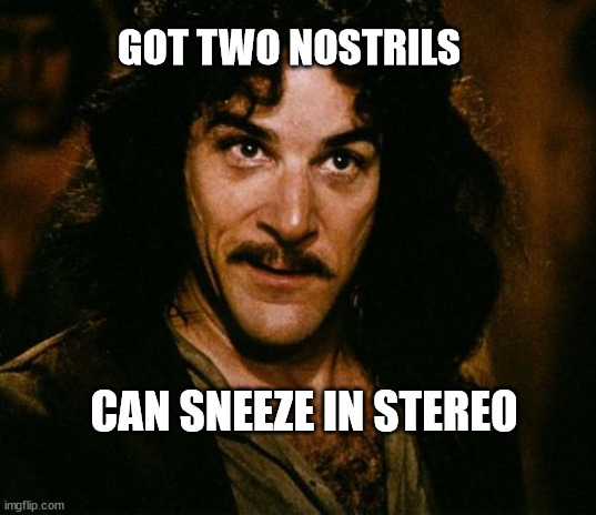 You keep using that word | GOT TWO NOSTRILS; CAN SNEEZE IN STEREO | image tagged in you keep using that word | made w/ Imgflip meme maker