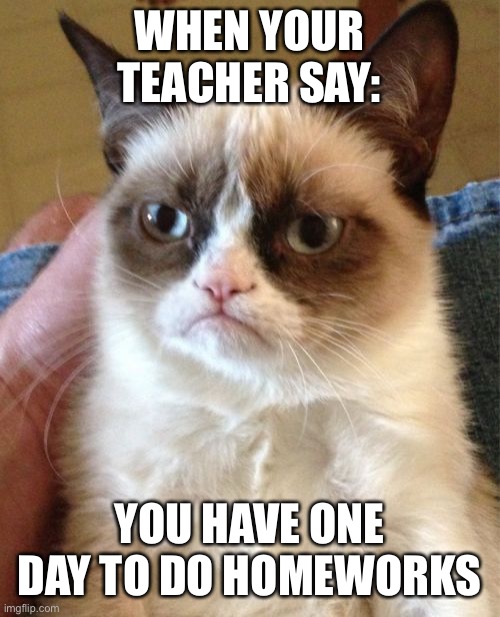 Some student: | WHEN YOUR TEACHER SAY:; YOU HAVE ONE DAY TO DO HOMEWORKS | image tagged in memes,grumpy cat | made w/ Imgflip meme maker