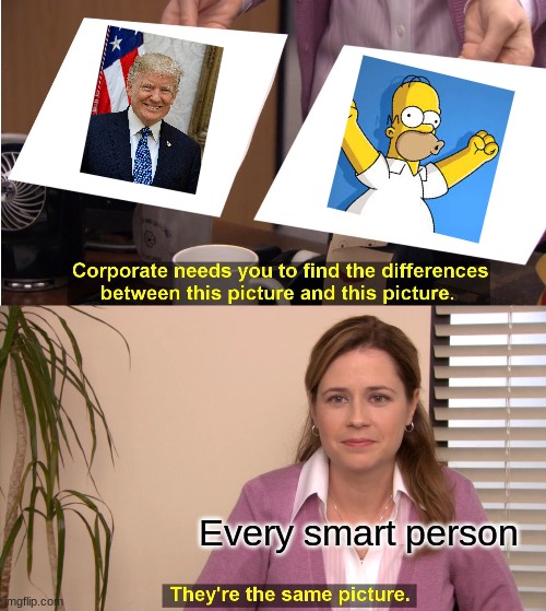 They're The Same Picture | Every smart person | image tagged in memes,they're the same picture,donald trump,trump,homer simpson,simpsons | made w/ Imgflip meme maker