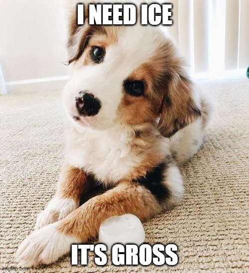 I NEED ICE; IT'S GROSS | made w/ Imgflip meme maker