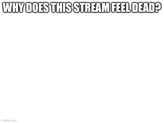 Blank White Template | WHY DOES THIS STREAM FEEL DEAD? | image tagged in blank white template | made w/ Imgflip meme maker