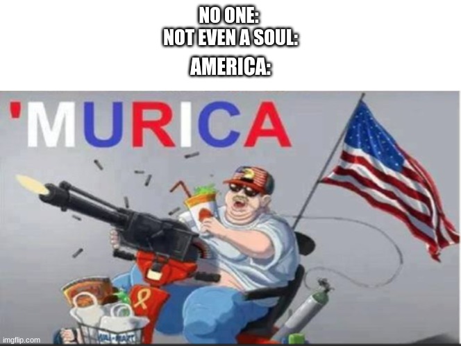 murica in a nutshell | NO ONE: 
NOT EVEN A SOUL:; AMERICA: | image tagged in text box,'murica,barney will eat all of your delectable biscuits,does anyone read these | made w/ Imgflip meme maker