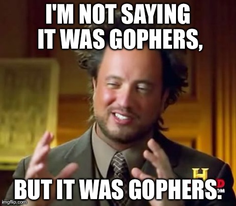 Ancient Aliens Meme | I'M NOT SAYING IT WAS GOPHERS, BUT IT WAS GOPHERS. | image tagged in memes,ancient aliens | made w/ Imgflip meme maker