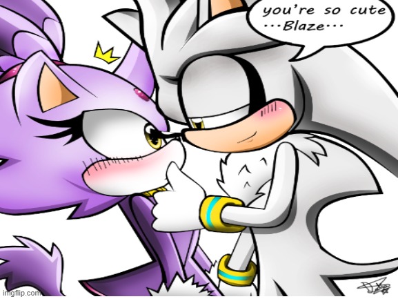 Isn't that what all people think of cats? | image tagged in silvaze,silver the hedgehog,blaze the cat,oh wow are you actually reading these tags | made w/ Imgflip meme maker