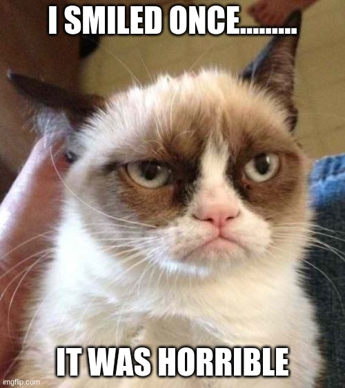 Grumpy Cat Reverse Meme | I SMILED ONCE......... IT WAS HORRIBLE | image tagged in memes,grumpy cat reverse,grumpy cat | made w/ Imgflip meme maker