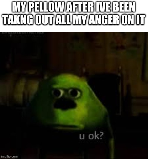 The answer would be no! | MY PILLOW AFTER I'VE BEEN TAKING OUT ALL MY ANGER ON IT | image tagged in funny,pillow,mike wazowski,memes,anger,abuse | made w/ Imgflip meme maker